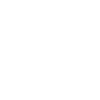 smartphone icon